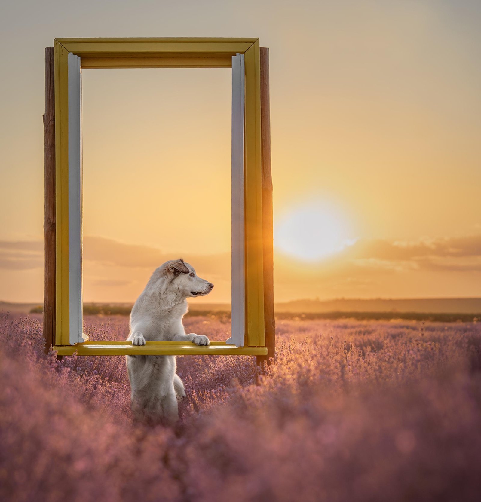 European Photography Awards Winner - A World Just Beyond