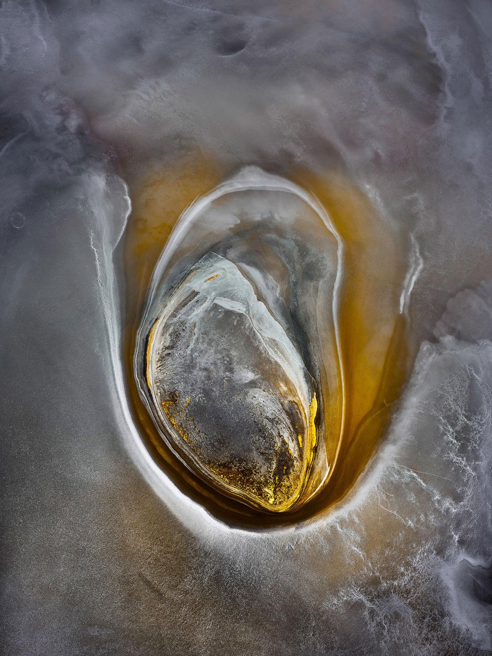 European Photography Awards Winner - AURUM