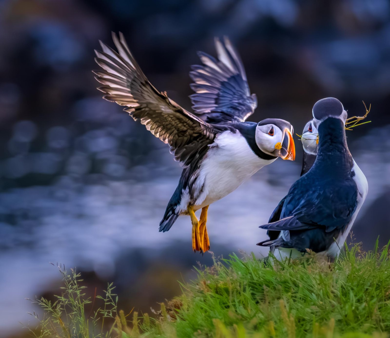 European Photography Awards Winner - Move!