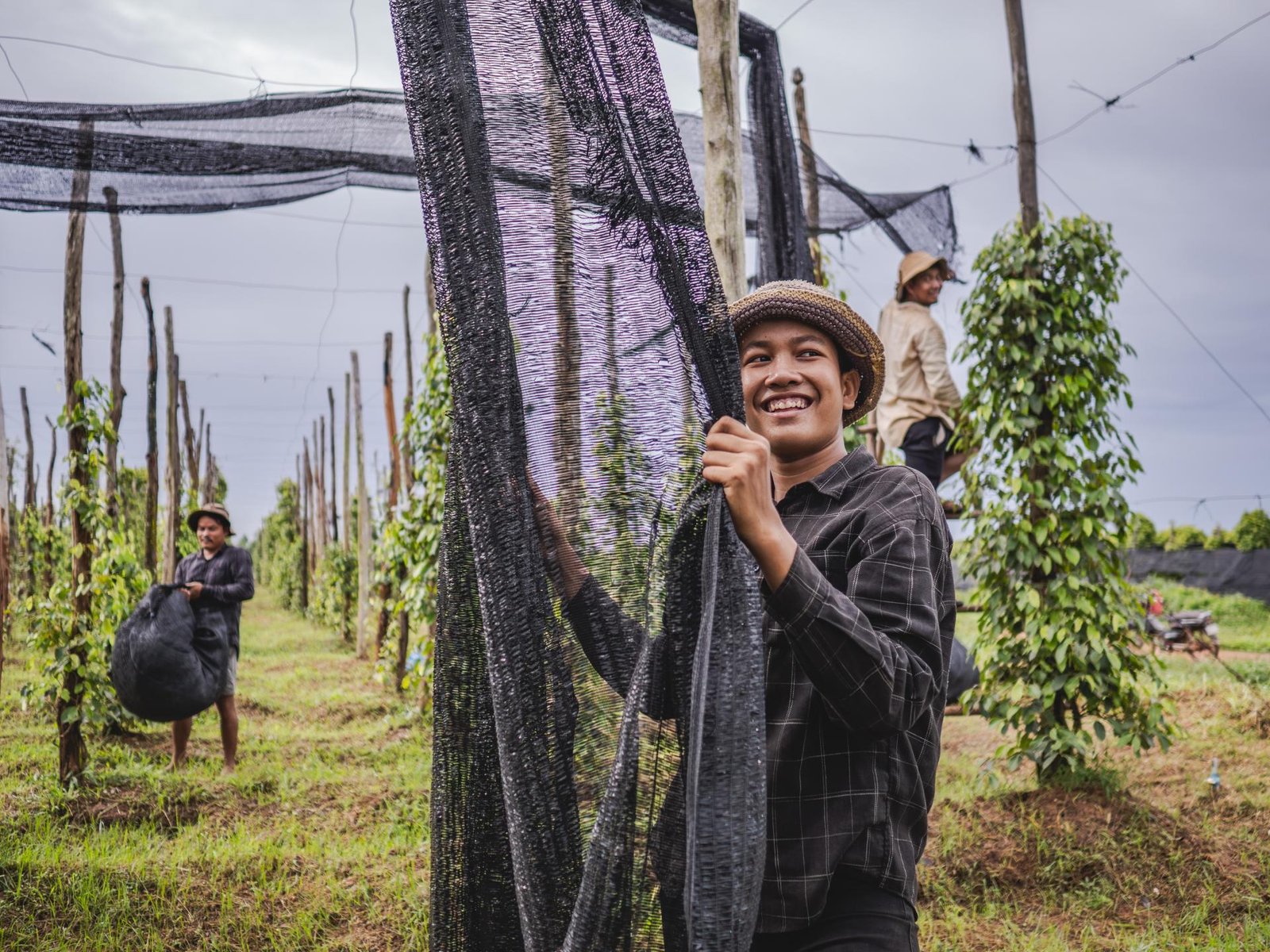 European Photography Awards Winner - Kampot Pepper Farm