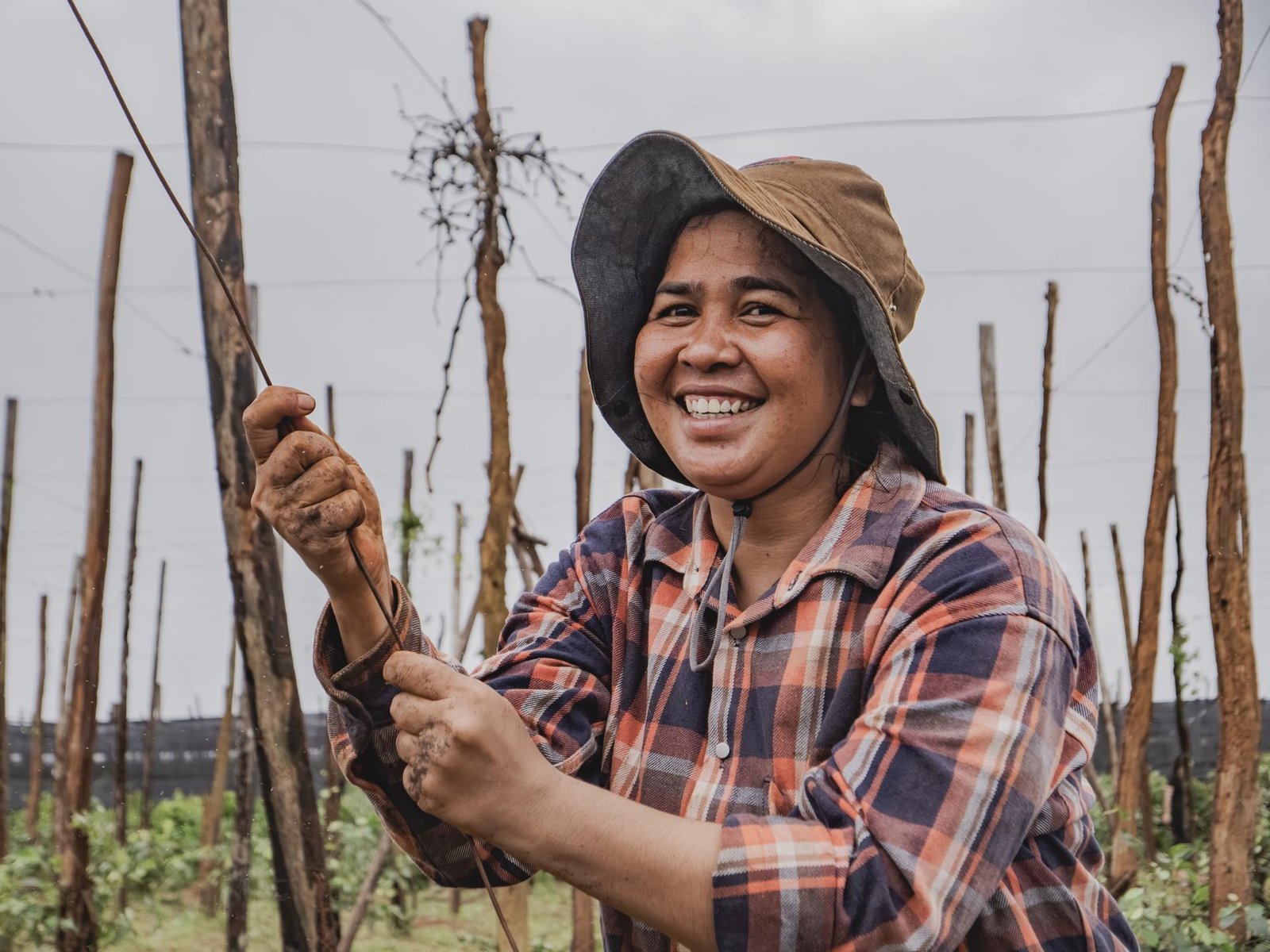 European Photography Awards Winner - Kampot Pepper Farm