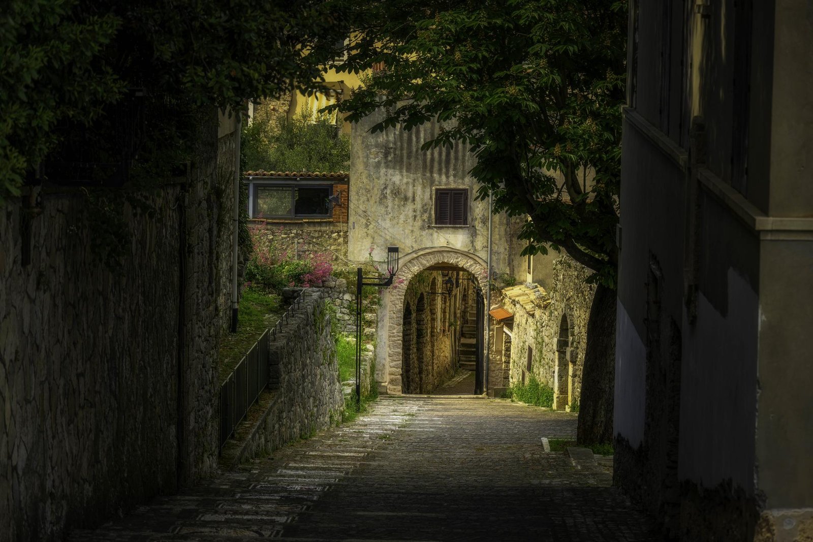 European Photography Awards Winner - Into the Light