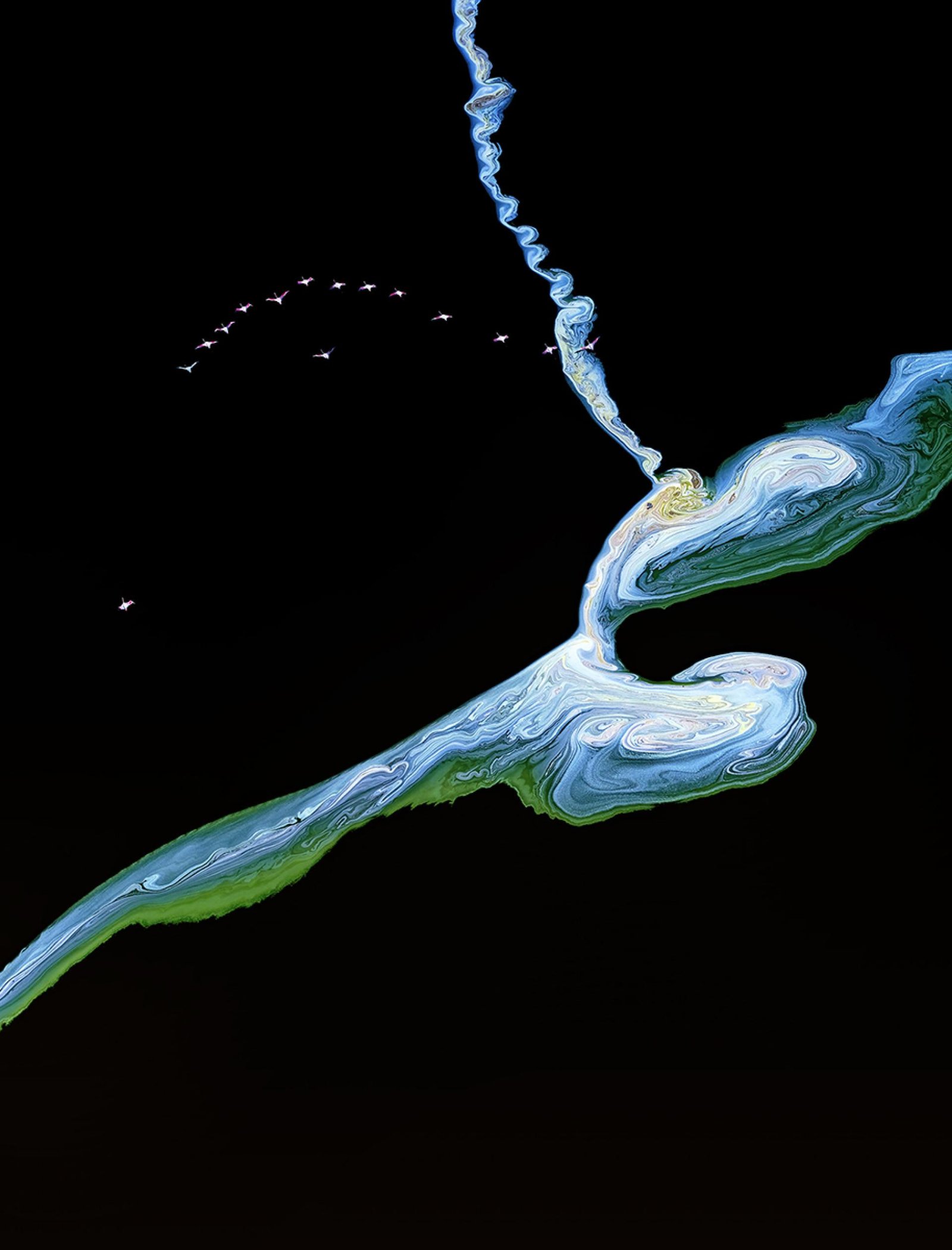 European Photography Awards Winner - Flight of the Flamingoes 