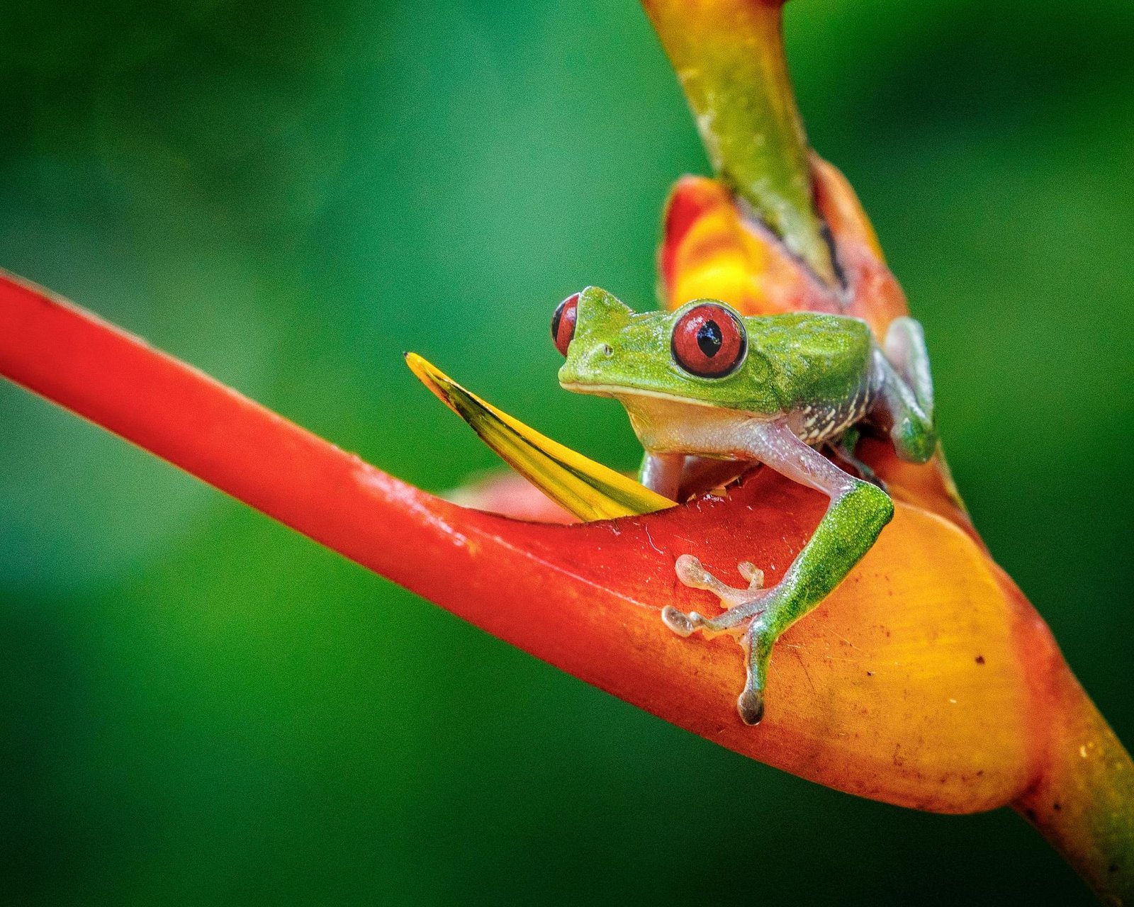 European Photography Awards Winner - 