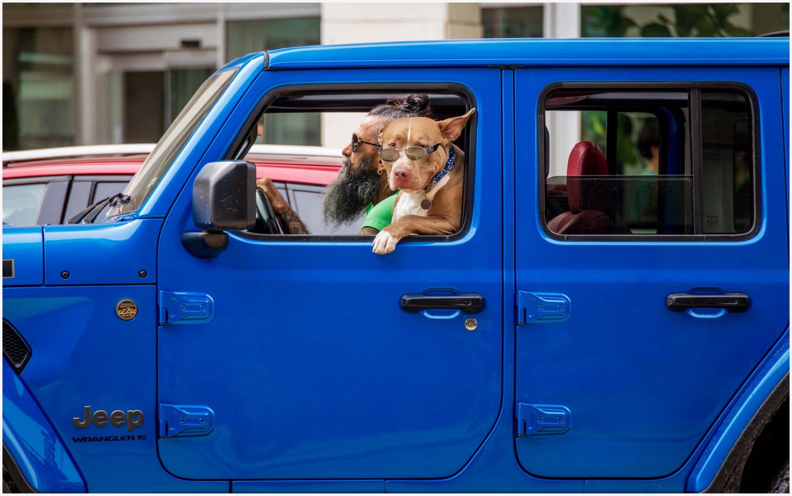 European Photography Awards Winner - Look Who's Driving