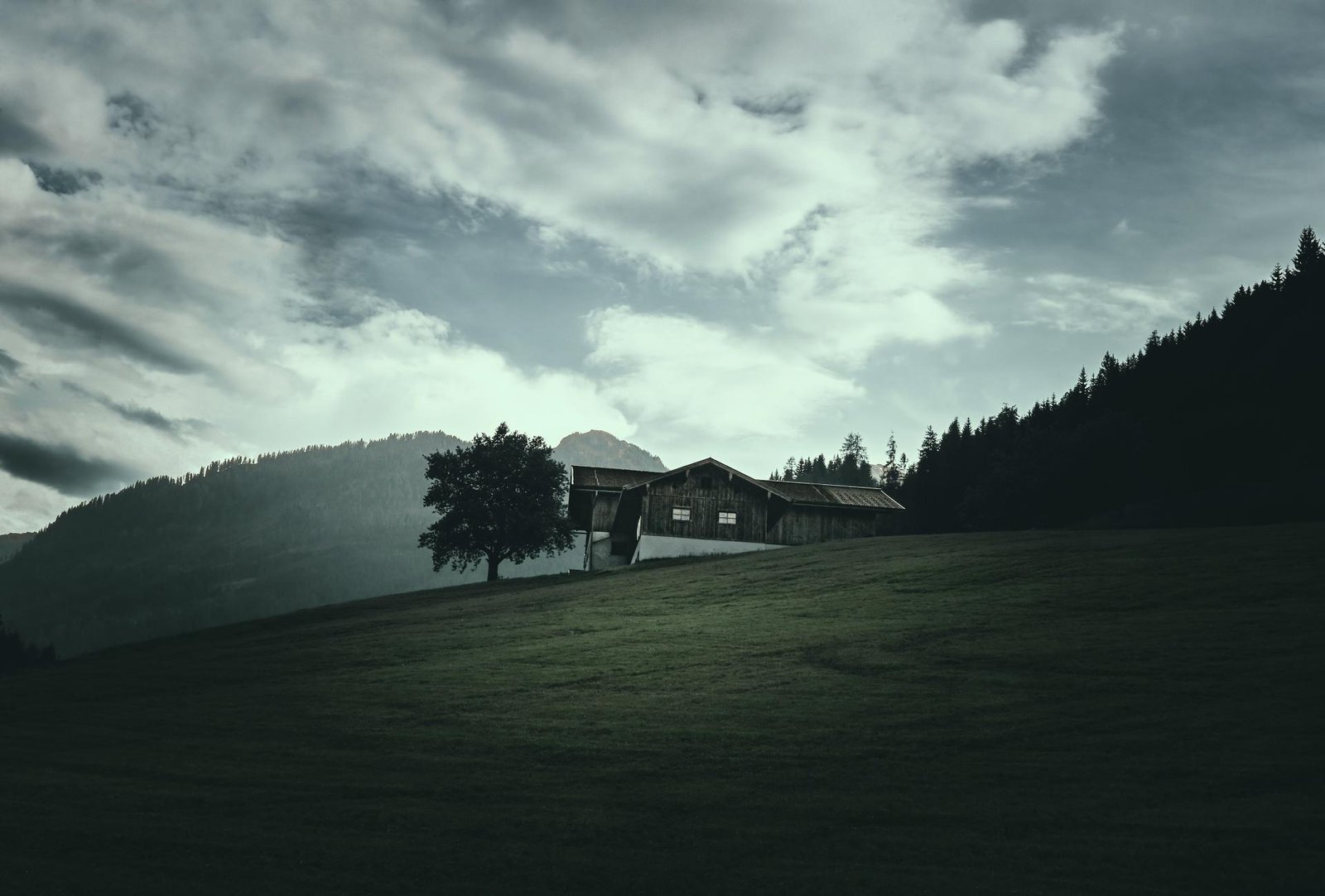 European Photography Awards Winner - Echoes of a Living Landscape: between Stillness and Motion