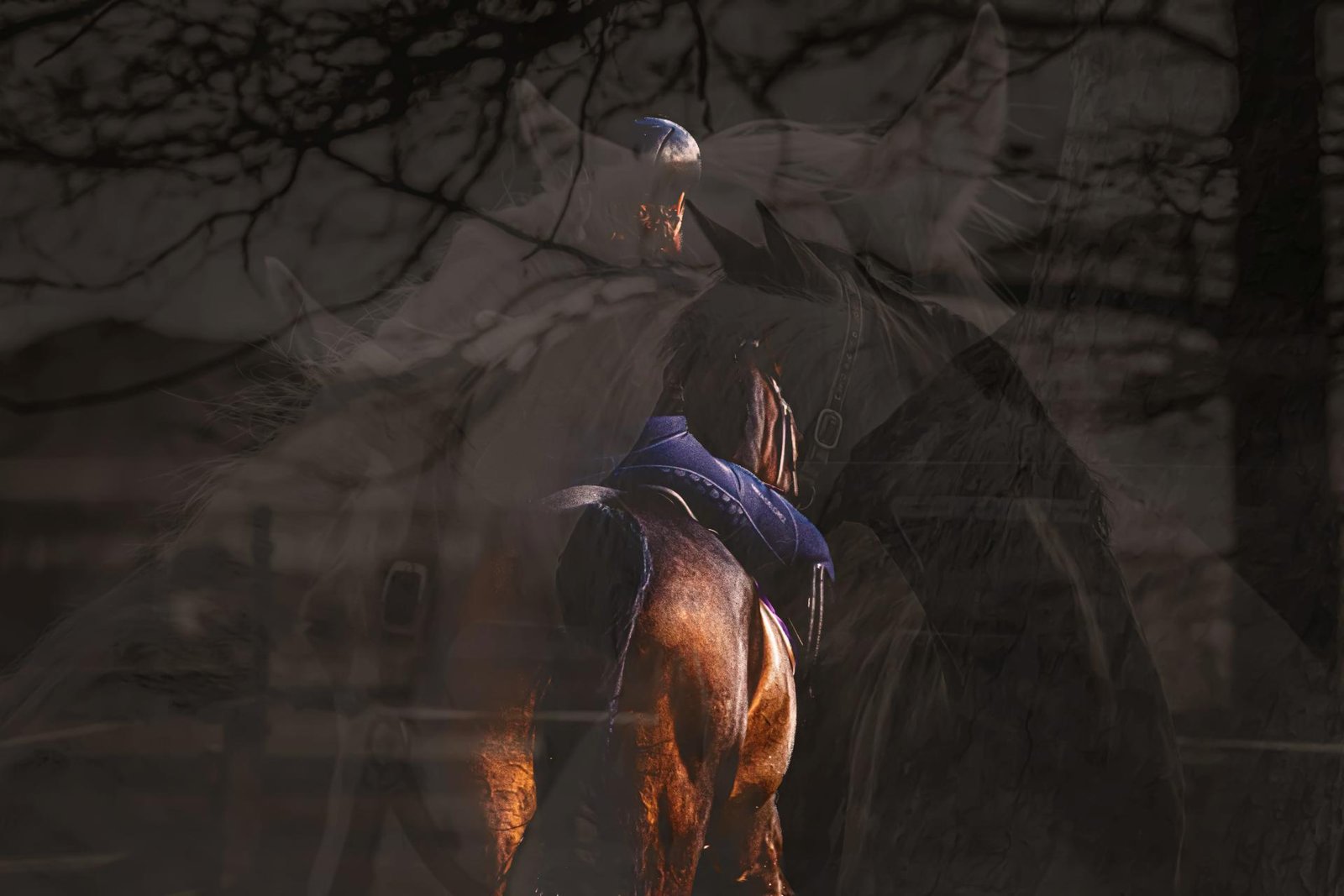European Photography Awards Winner - Enter into the Head of an Equestrian
