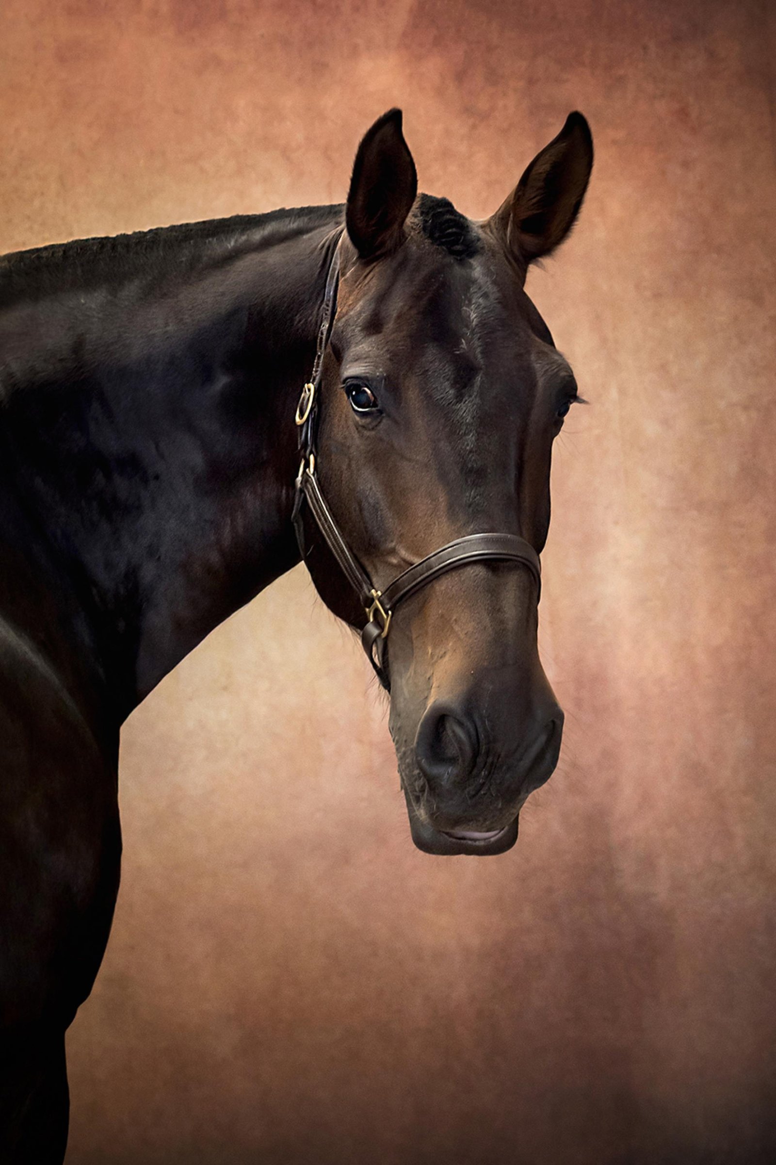 European Photography Awards Winner - Tom - A Study