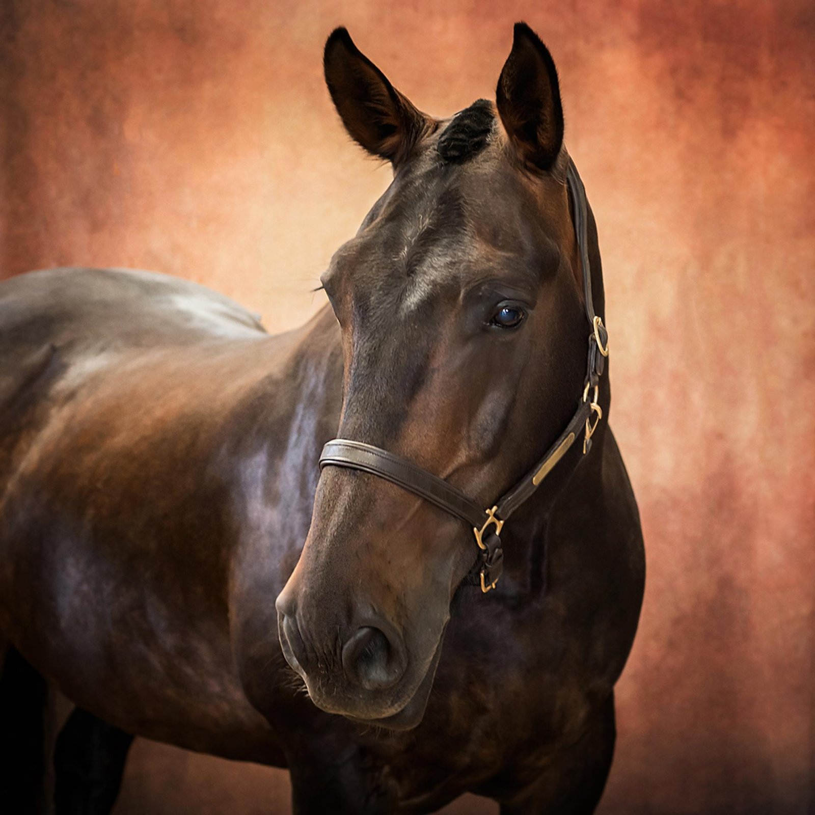 European Photography Awards Winner - Tom - A Study