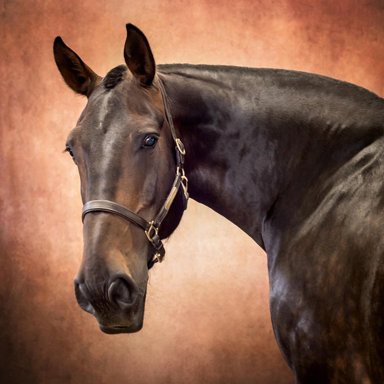 European Photography Awards Winner - Tom - A Study