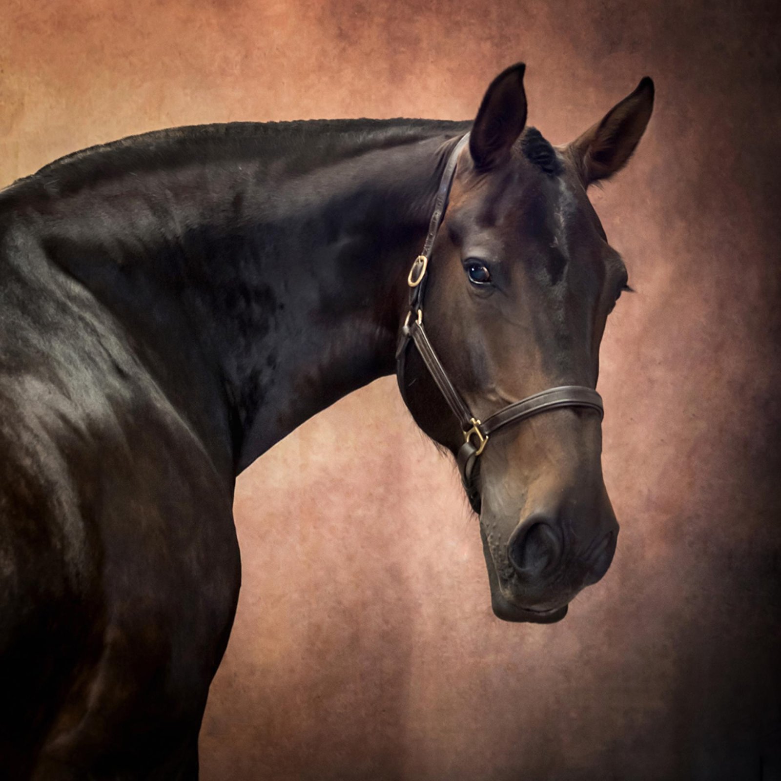 European Photography Awards Winner - Tom - A Study