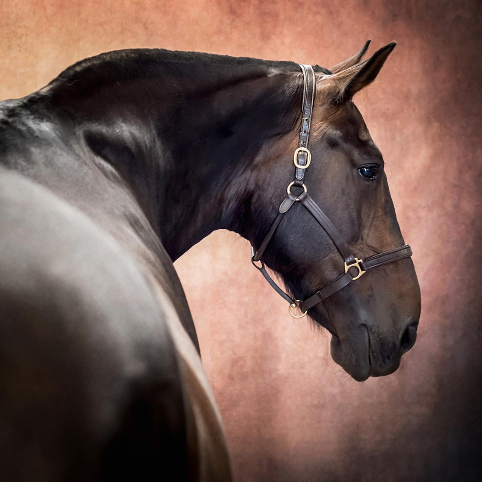 European Photography Awards Winner - Tom - A Study