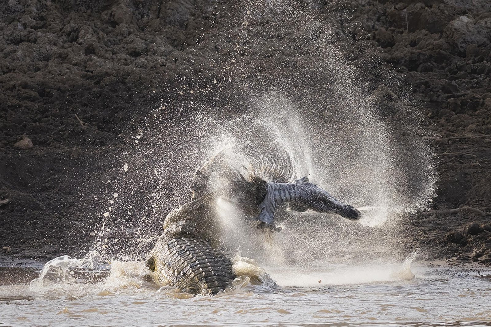 European Photography Awards Winner - Mara Crocodile