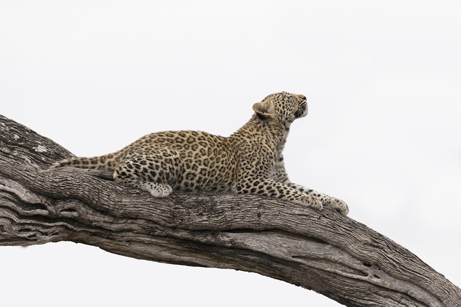 European Photography Awards Winner - Timeout