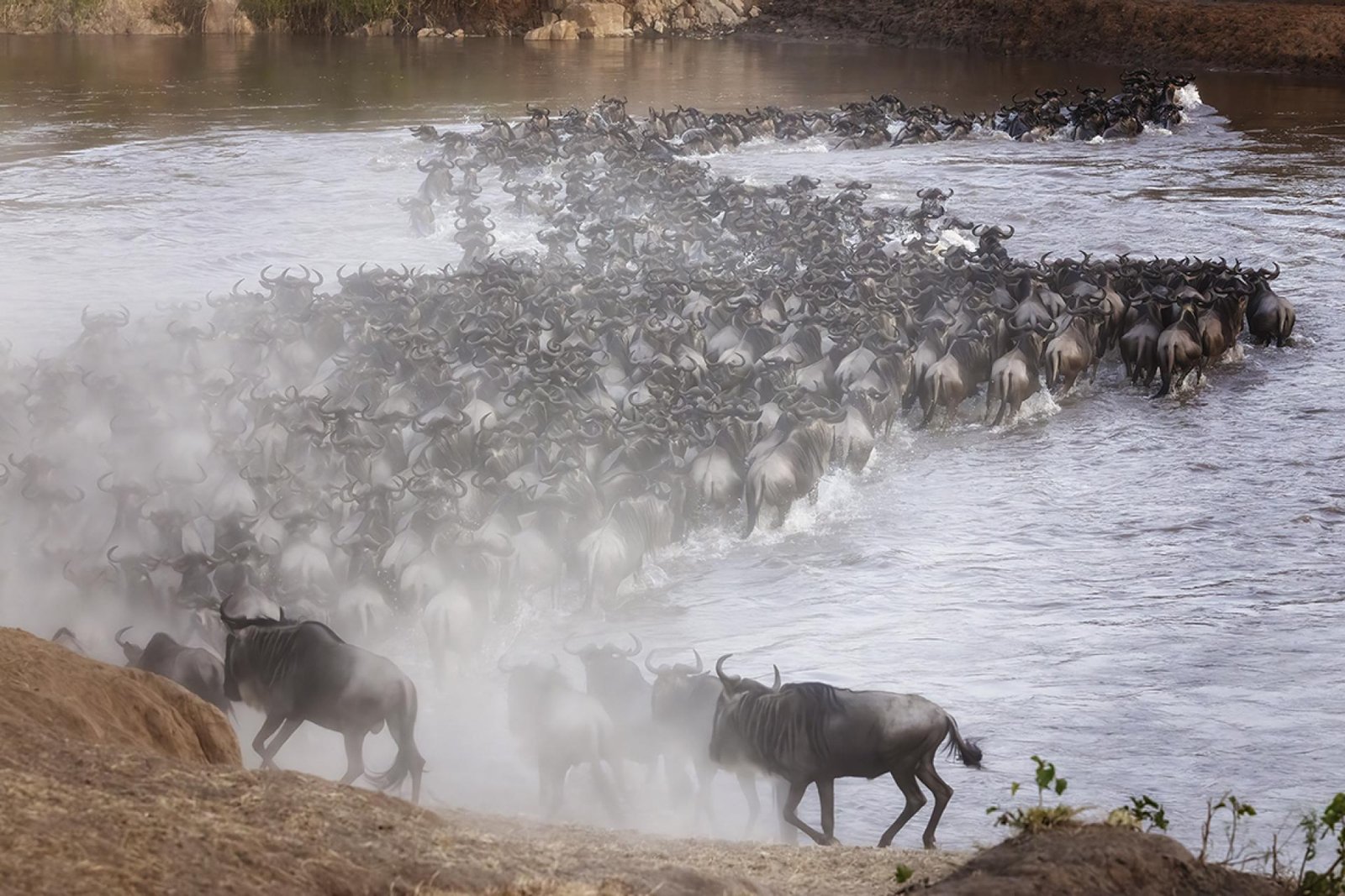 European Photography Awards Winner - The Crossing