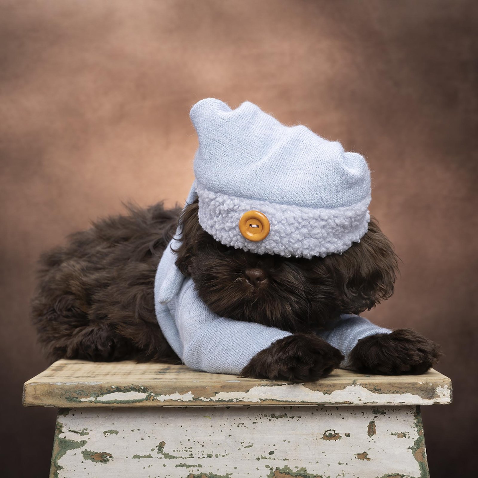 European Photography Awards Winner - Baby Gimlet