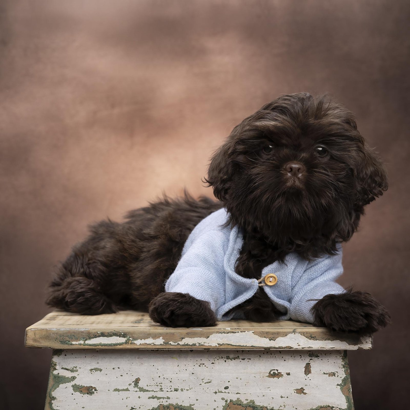 European Photography Awards Winner - Baby Gimlet