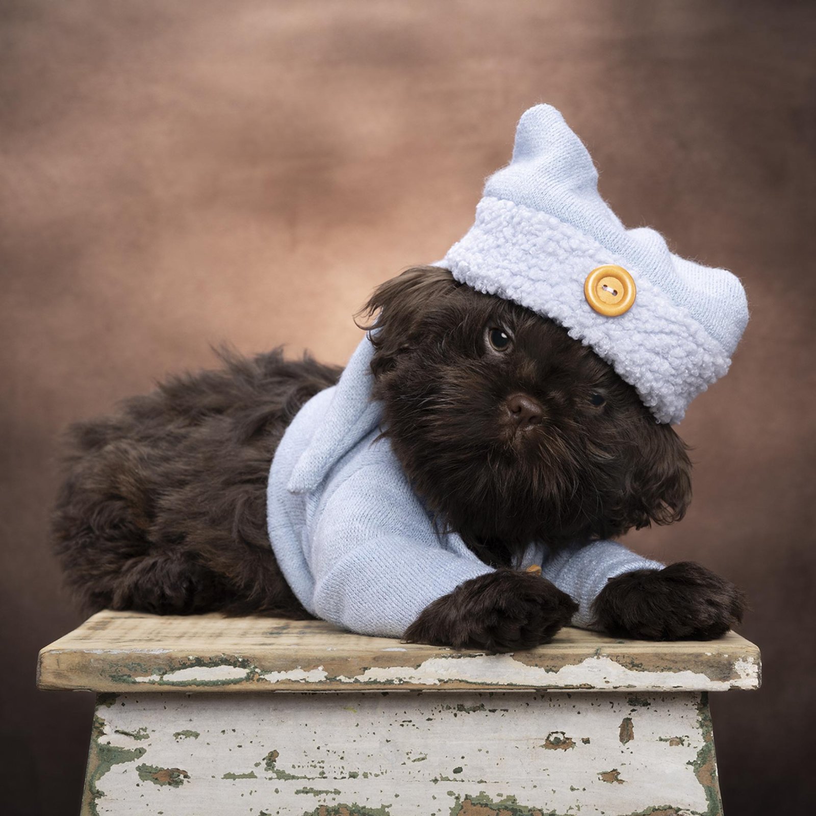 European Photography Awards Winner - Baby Gimlet