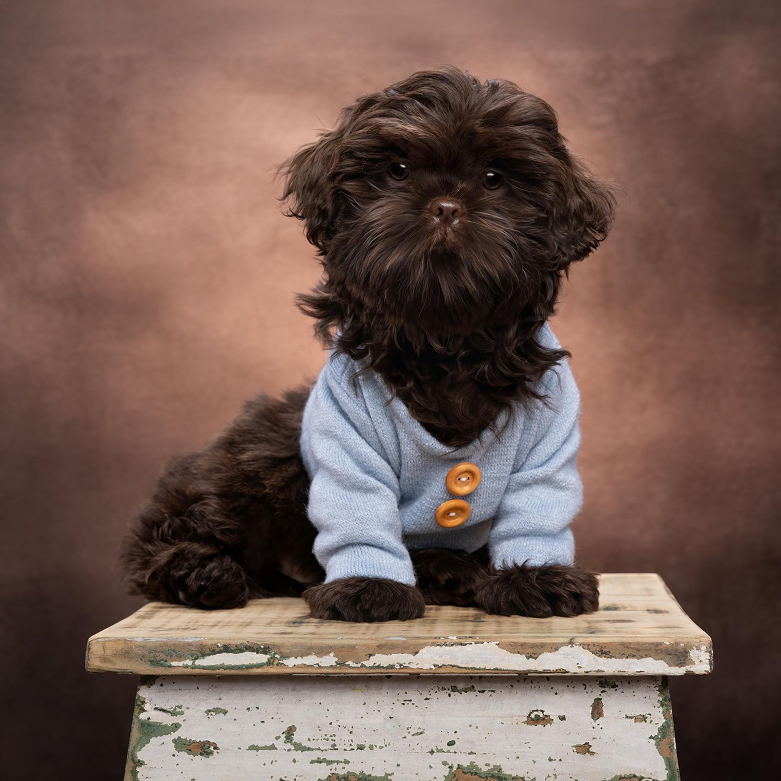 European Photography Awards Winner - Baby Gimlet