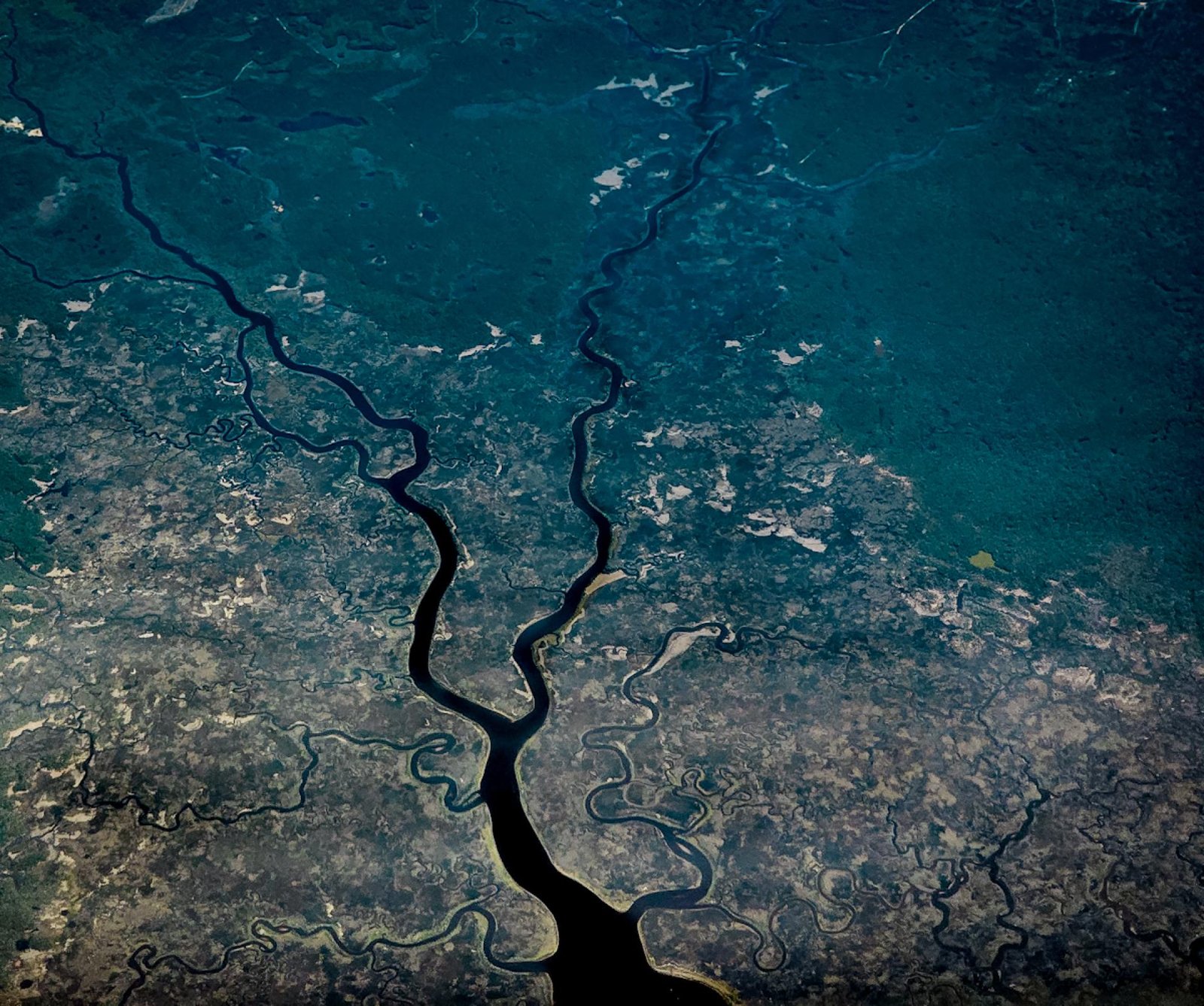 European Photography Awards Winner - Roots