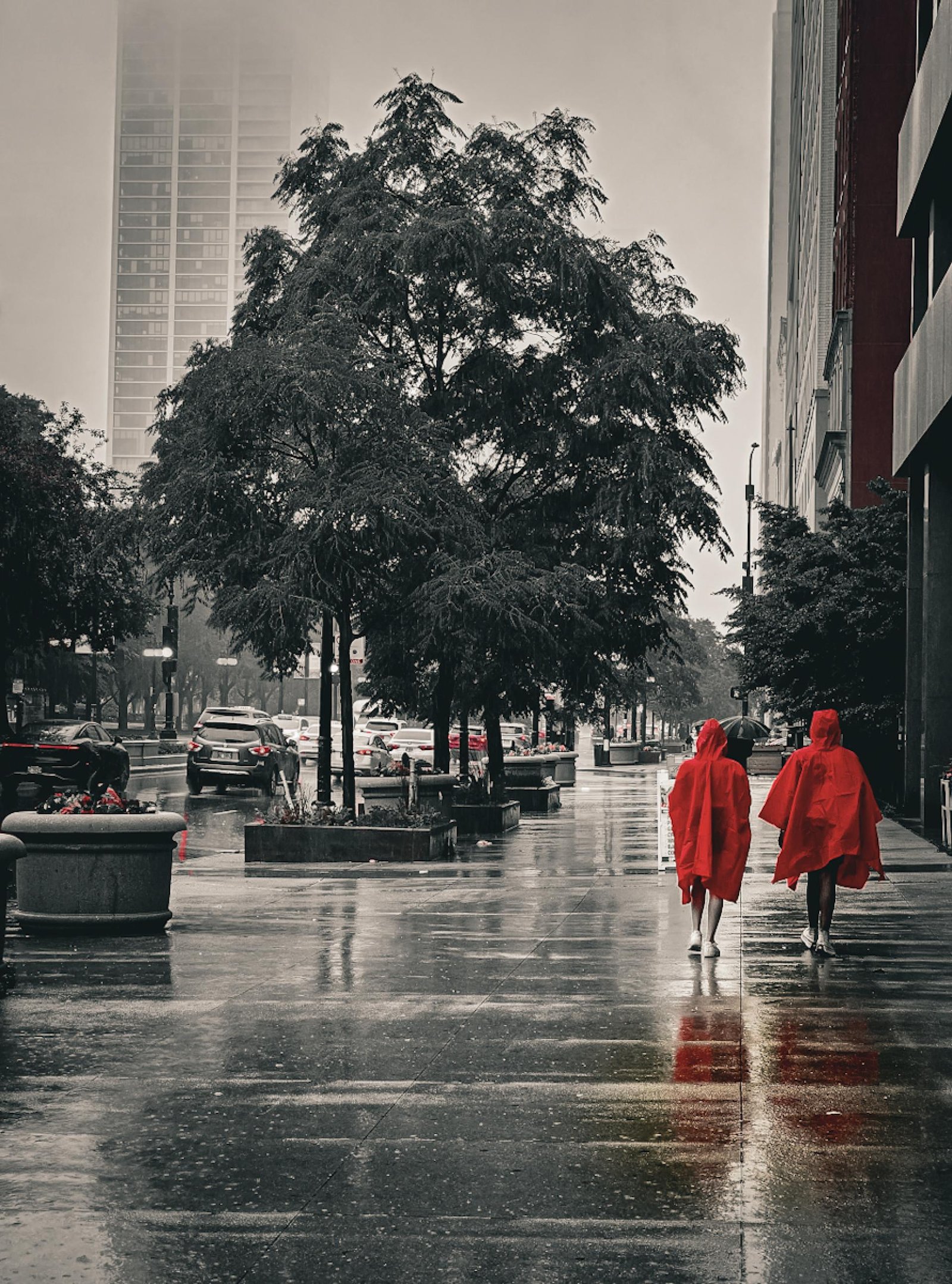 European Photography Awards Winner - Veiled City