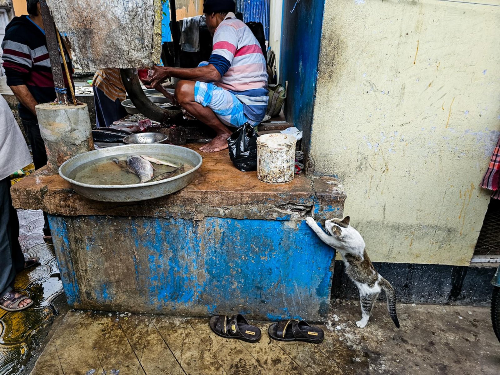 European Photography Awards Winner - Hunger