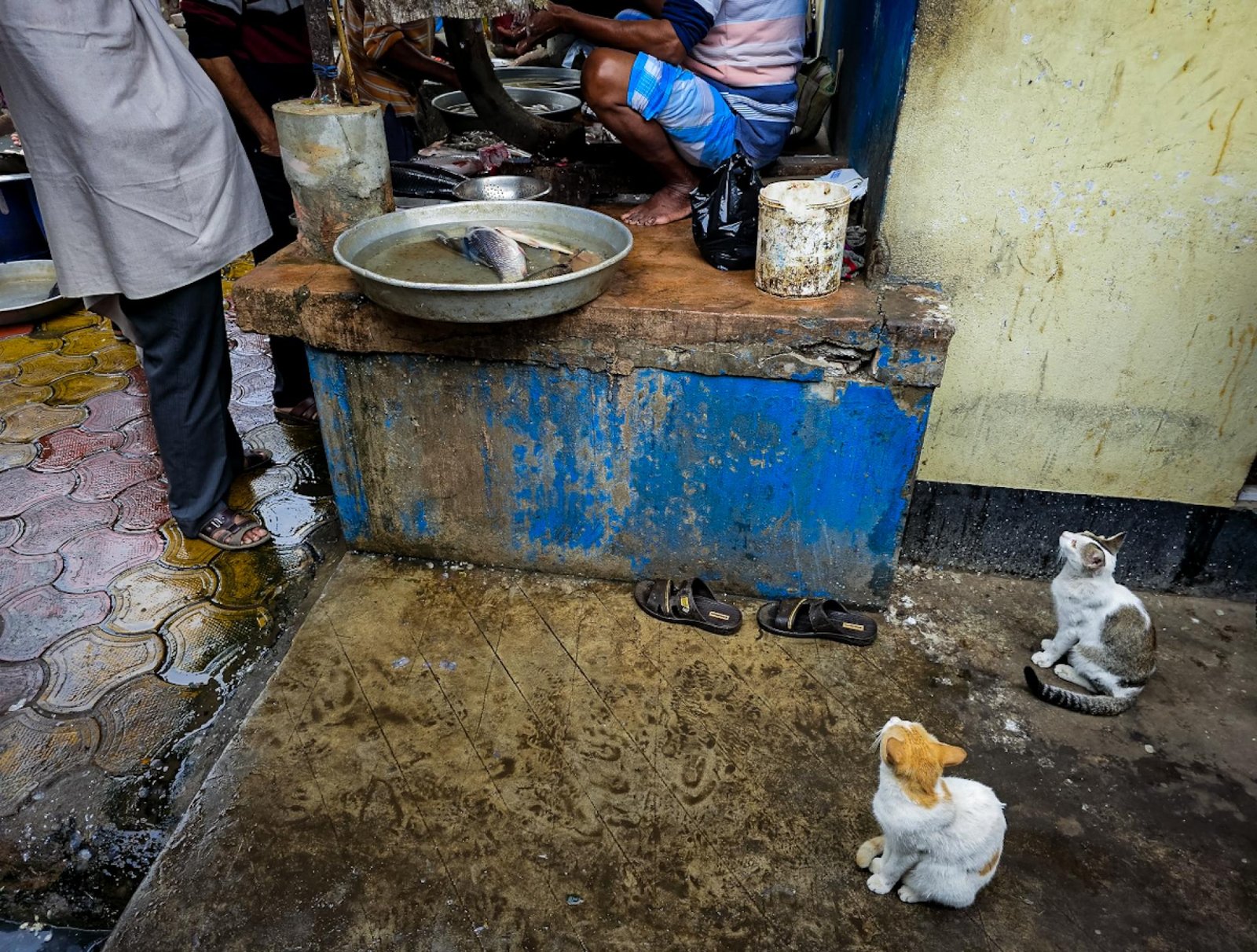 European Photography Awards Winner - Hunger