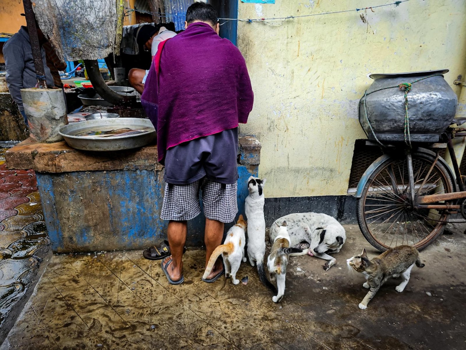European Photography Awards Winner - Hunger