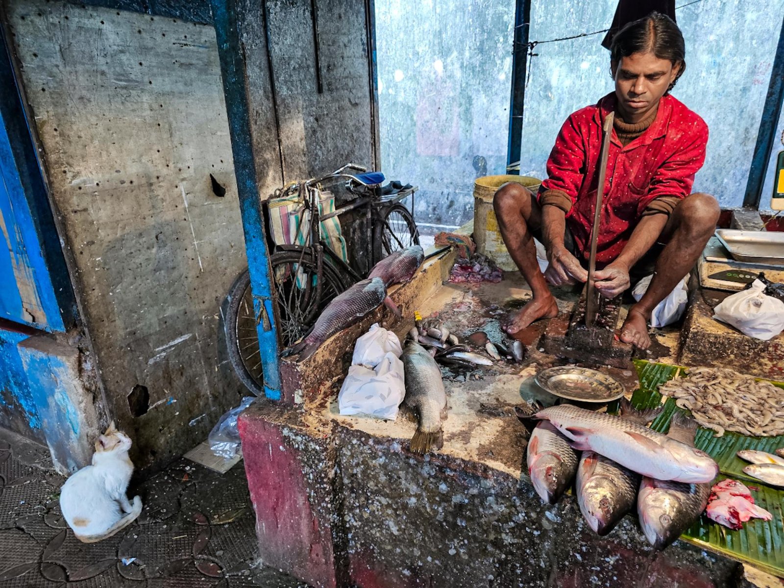 European Photography Awards Winner - Hunger