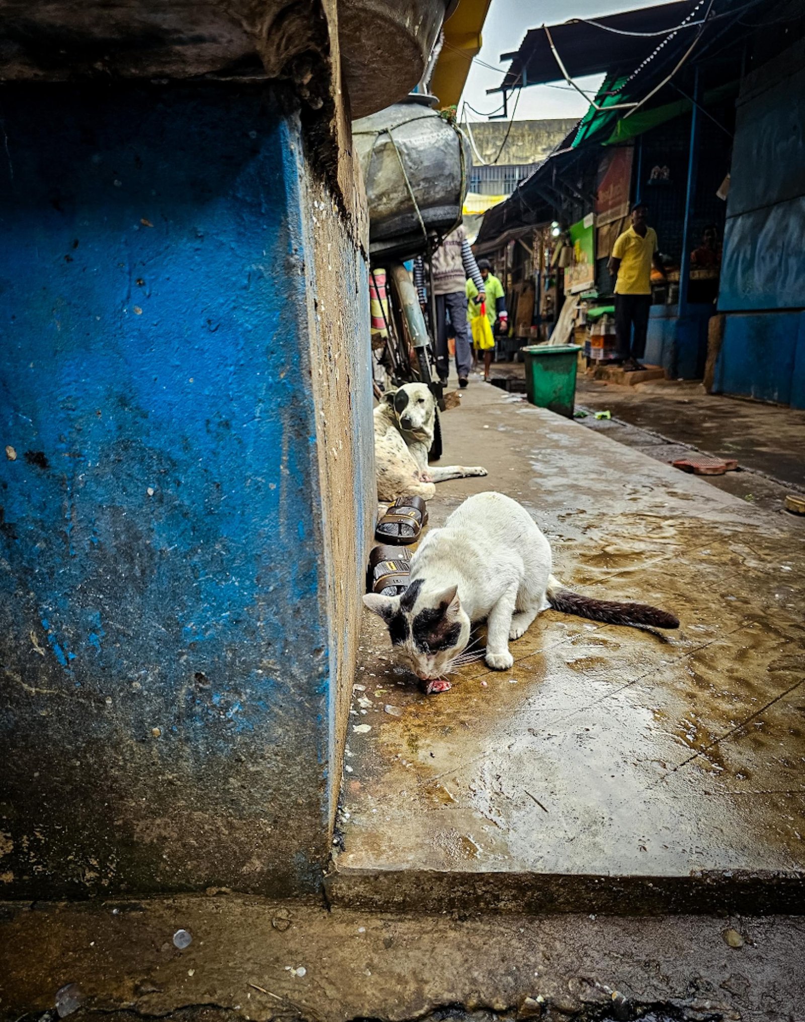 European Photography Awards Winner - Hunger