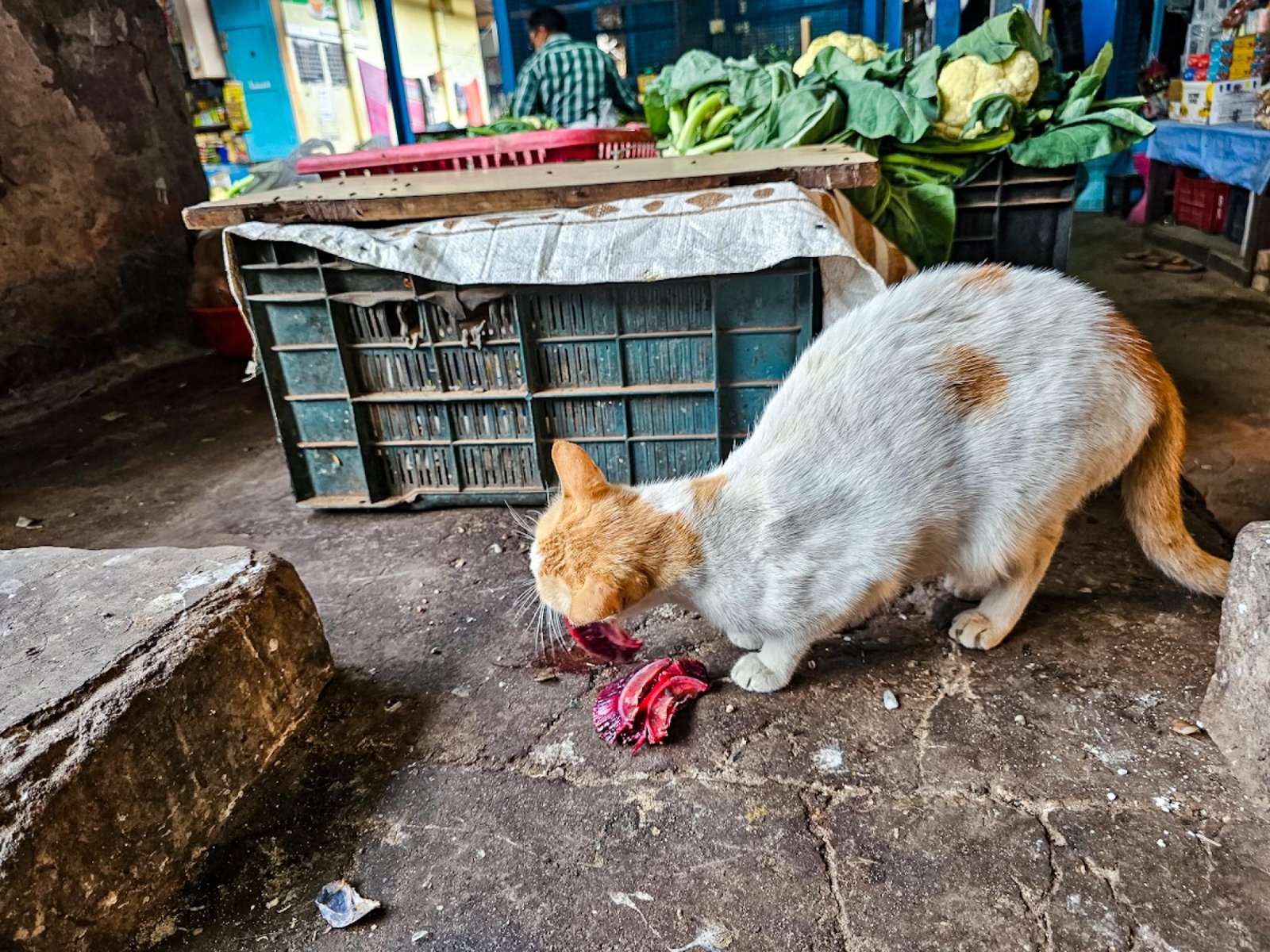 European Photography Awards Winner - Hunger