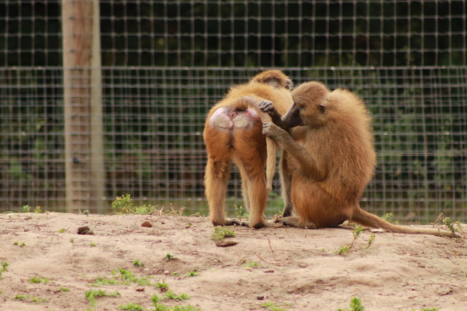 European Photography Awards Winner - Quality Control
