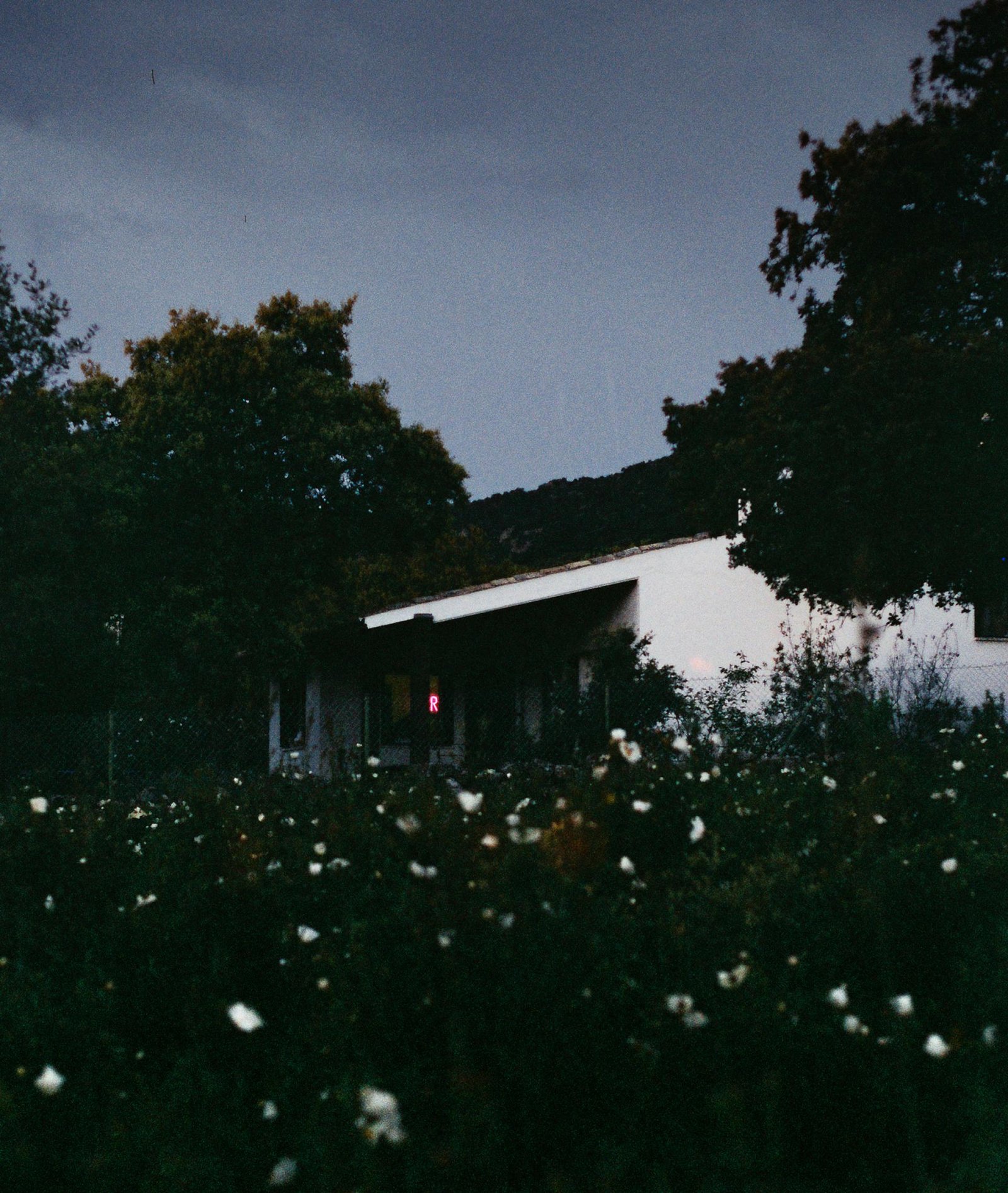 European Photography Awards Winner - aeReo