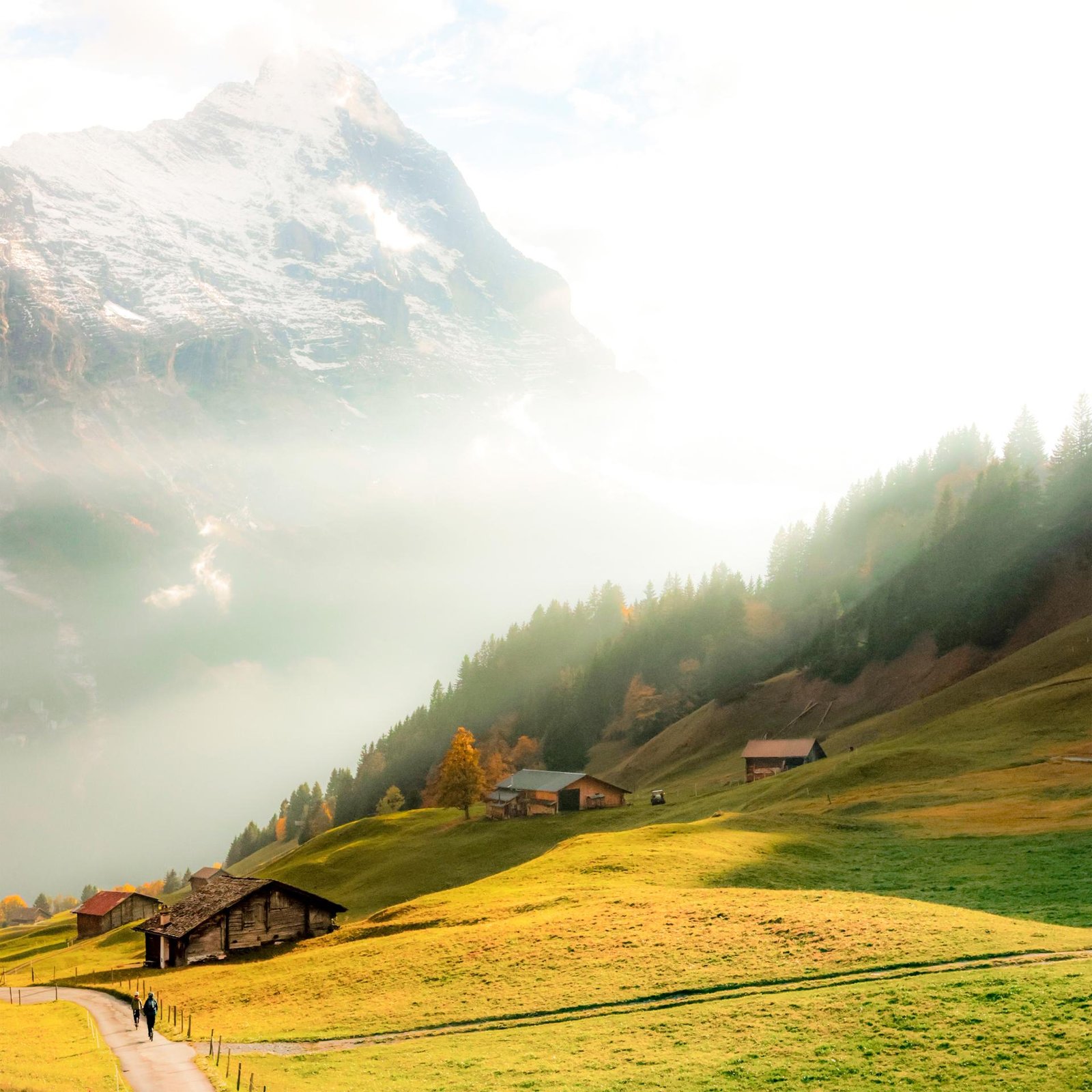 European Photography Awards Winner - Afternoon Glow in Grindelwald