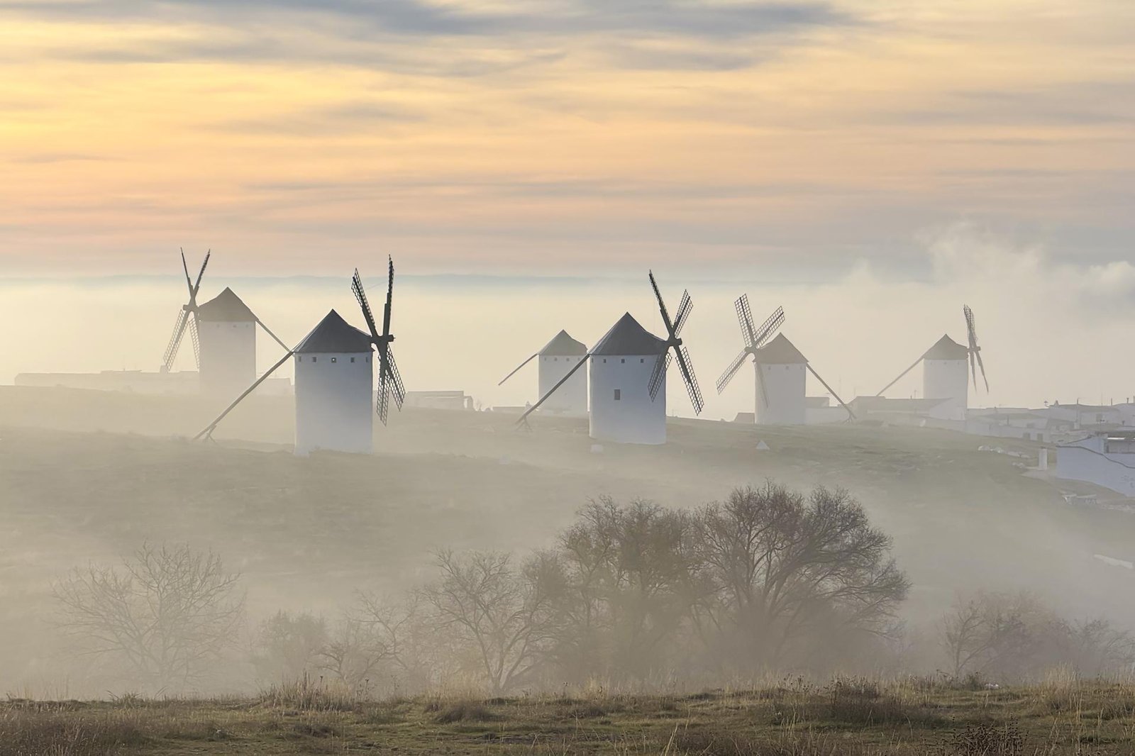 European Photography Awards Winner - Giant in the mist