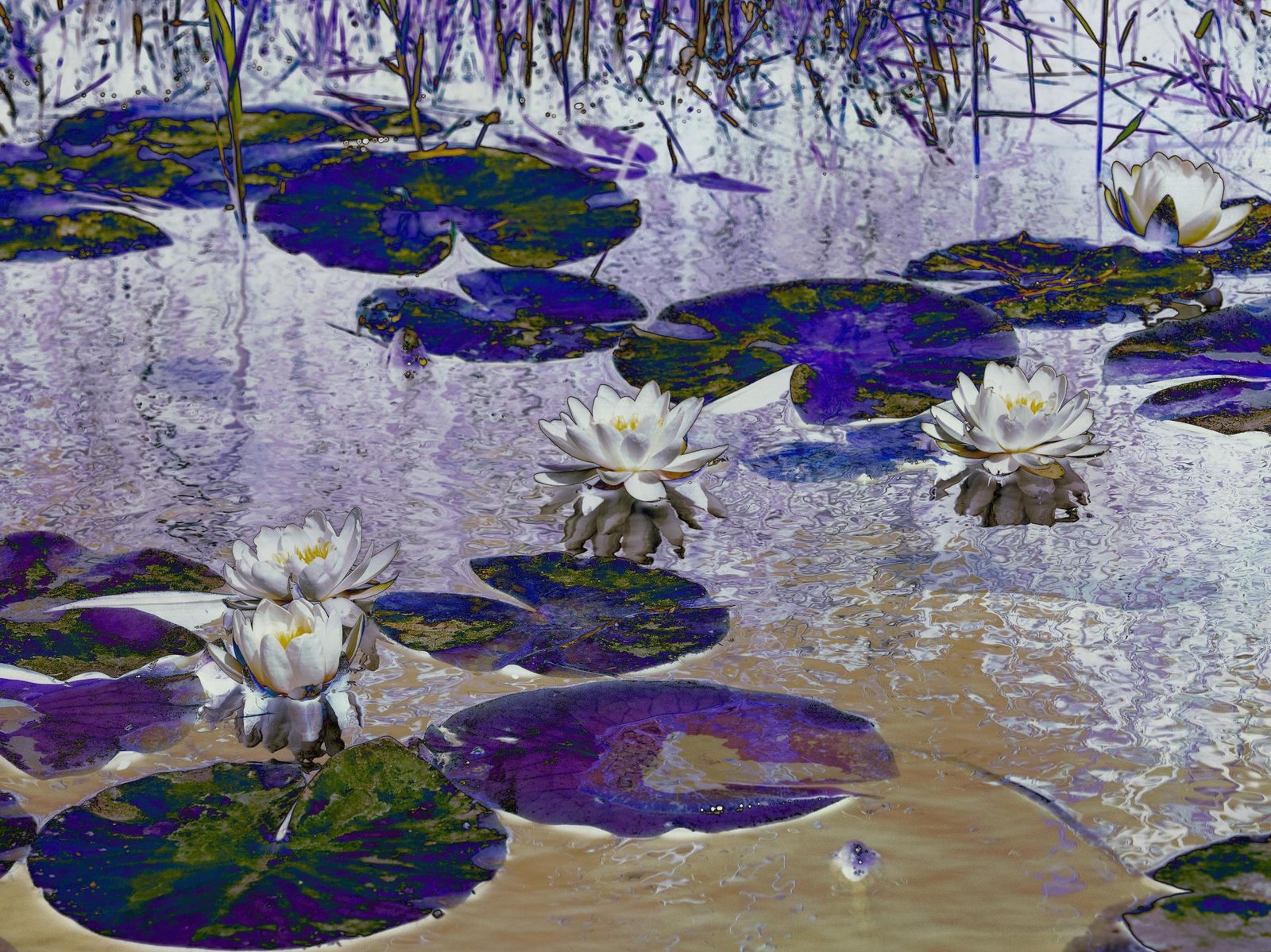 European Photography Awards Winner - The Echo of Light