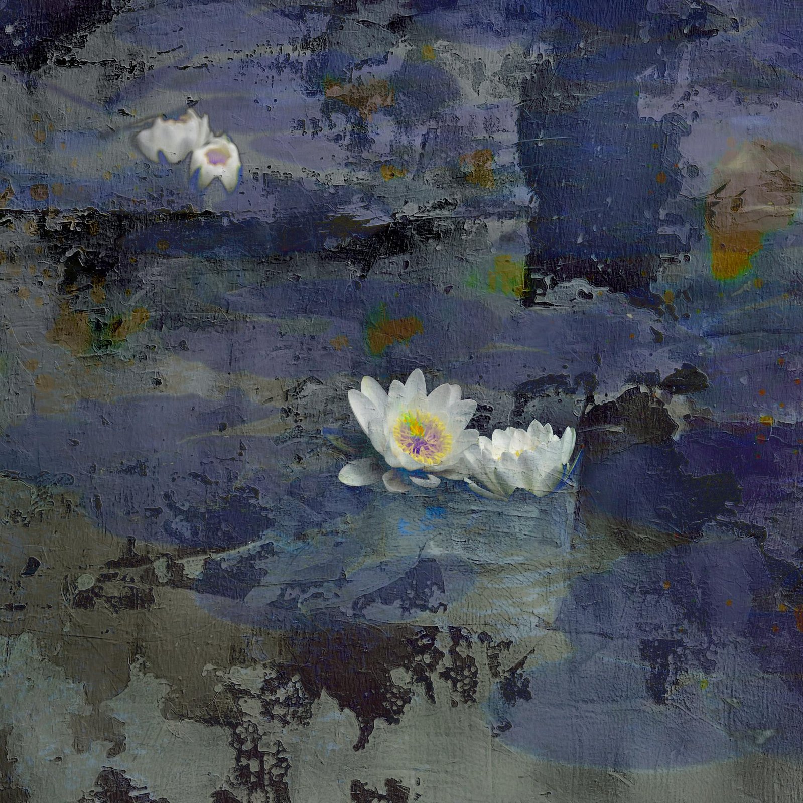 European Photography Awards Winner - The Echo of Light