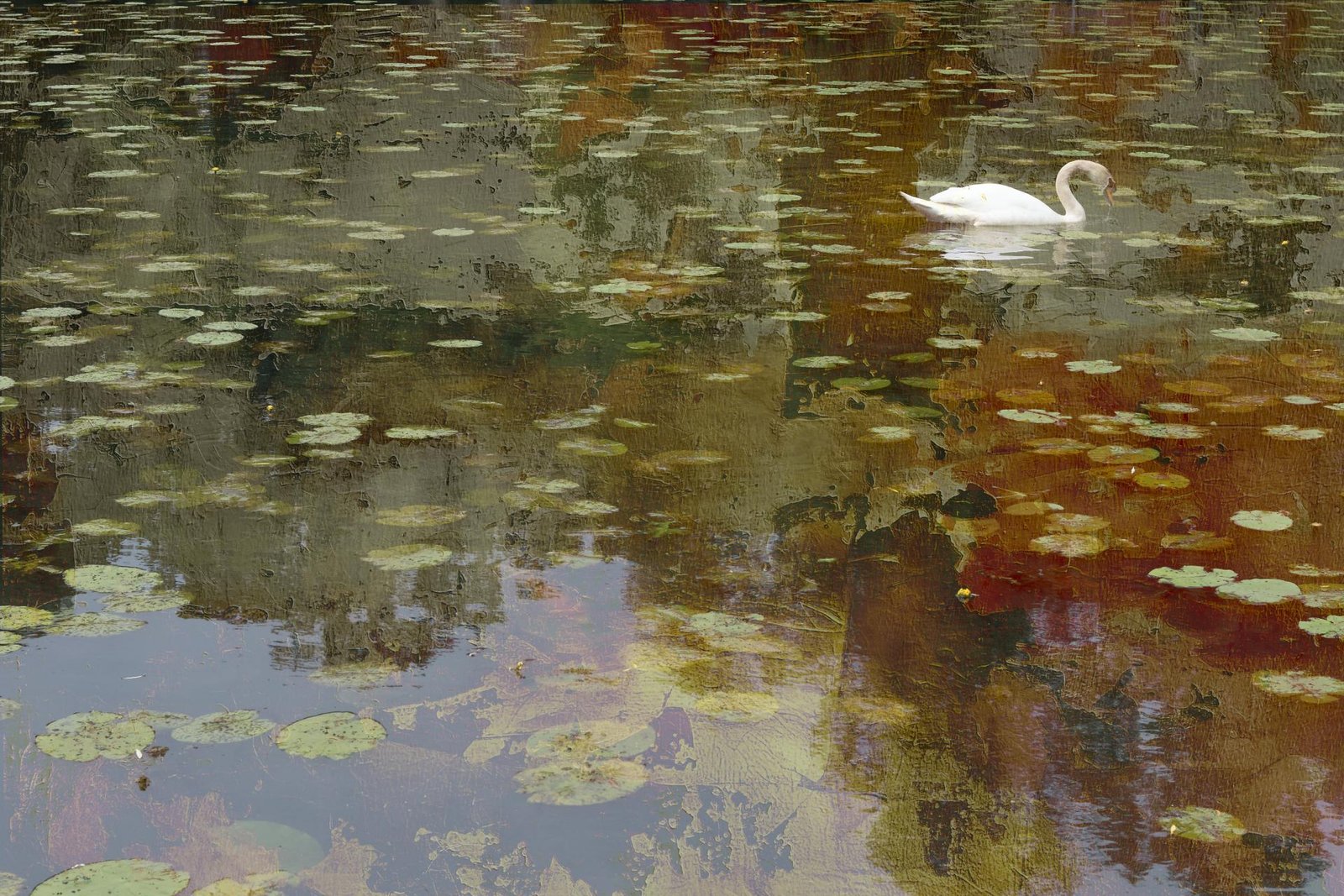 European Photography Awards Winner - The Echo of Light