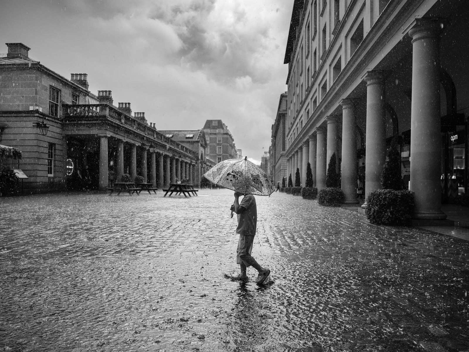 European Photography Awards Winner - Heavy Summer Rain