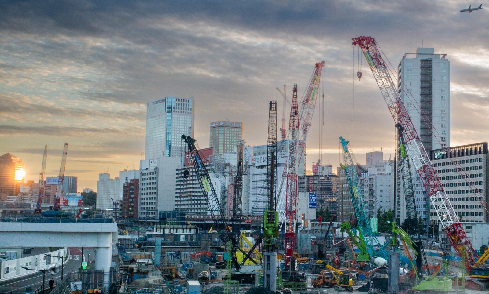 European Photography Awards Winner - Tokyo Jungle