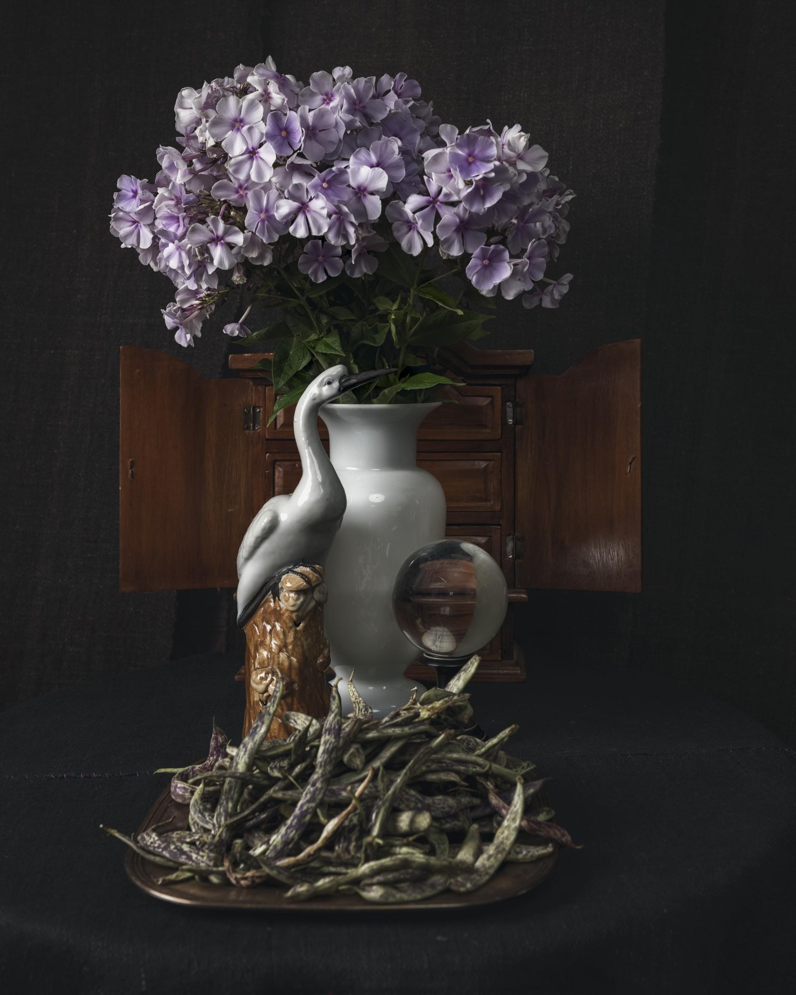 European Photography Awards Winner - Wunderkammer