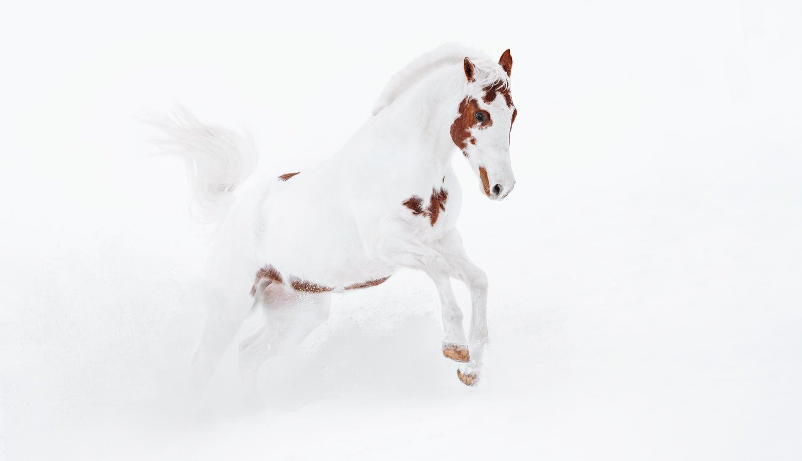 European Photography Awards Winner - Dissolving Boundaries