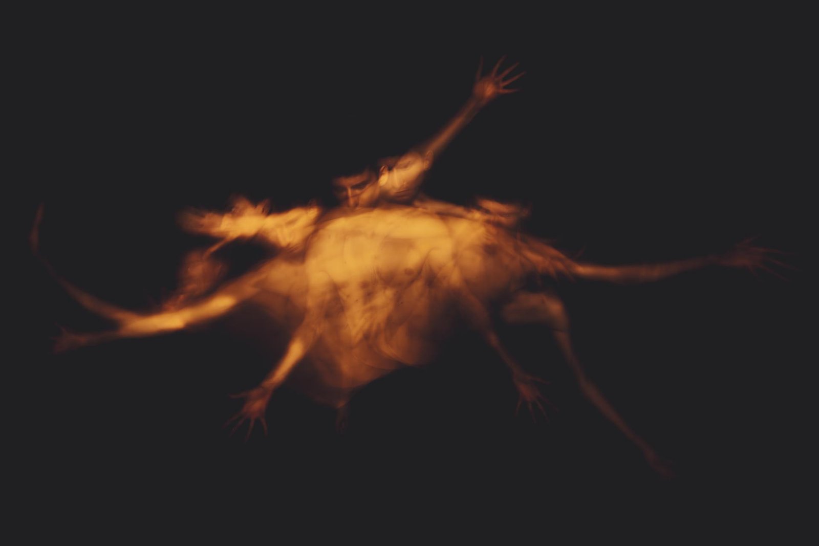 European Photography Awards Winner - The Beast
