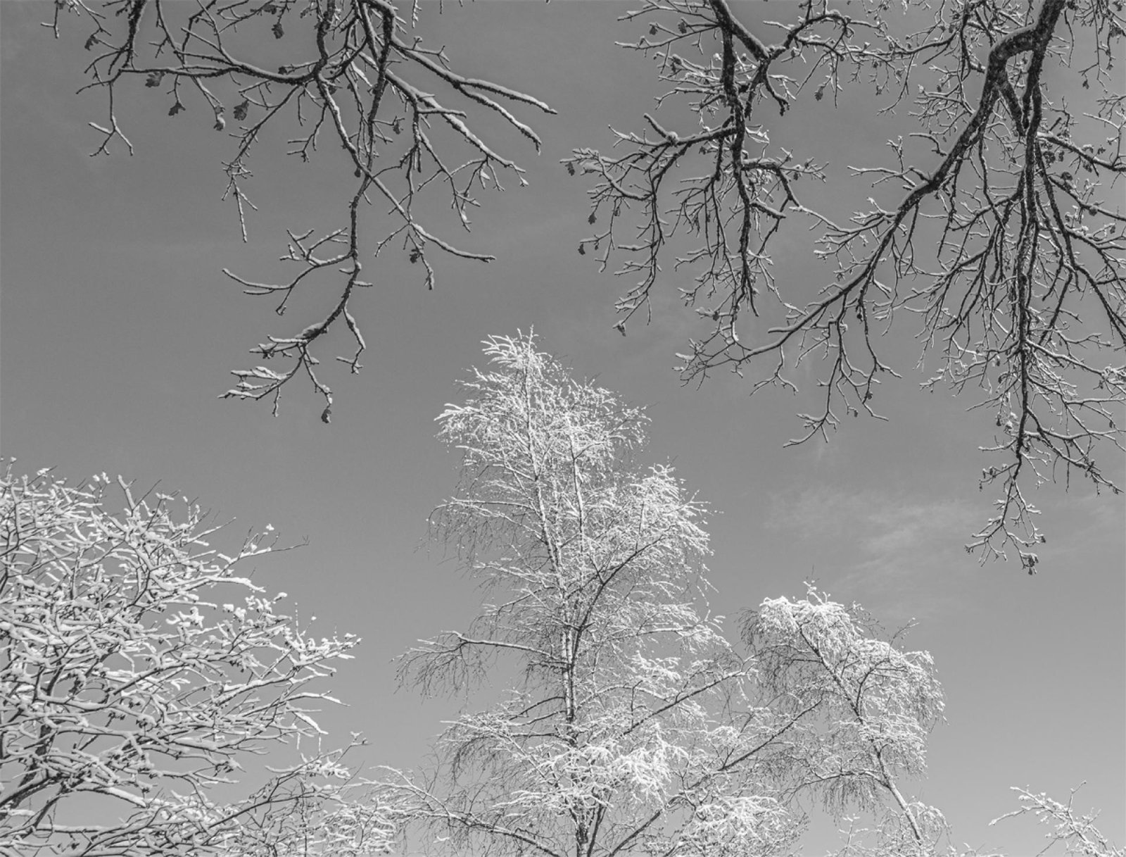 European Photography Awards Winner - Winter Intervals