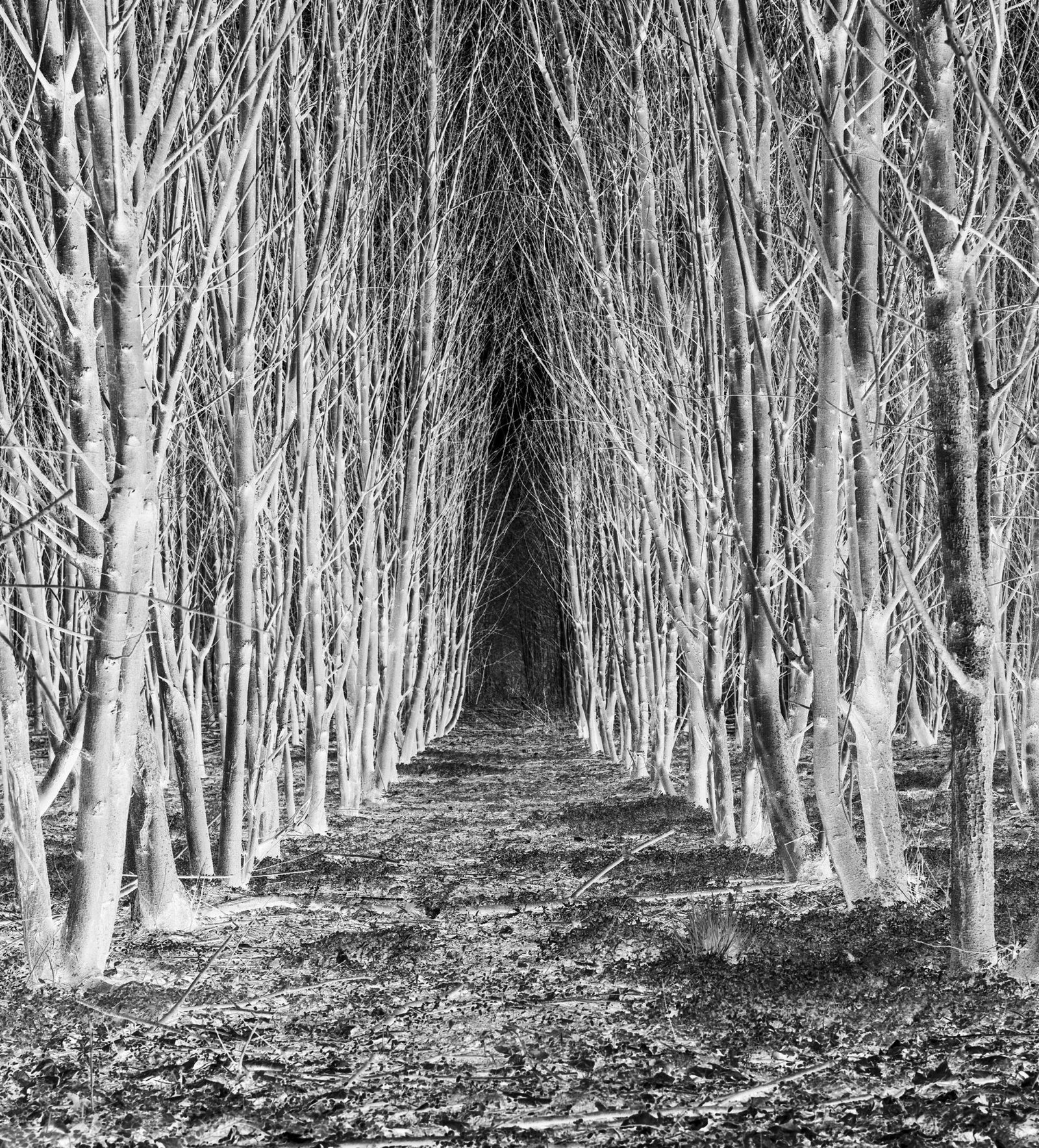 European Photography Awards Winner - Where the Land Waits