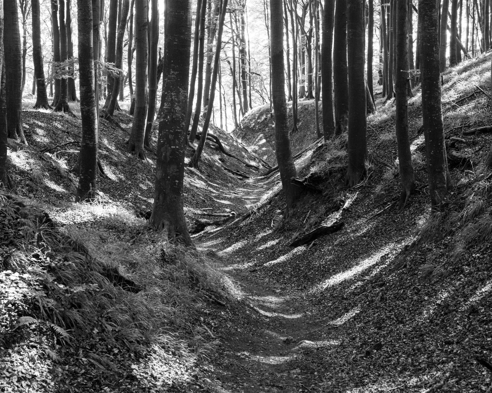 European Photography Awards Winner - Where the Land Waits