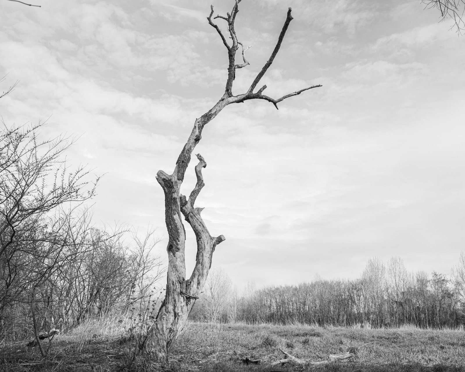 European Photography Awards Winner - Where the Land Waits