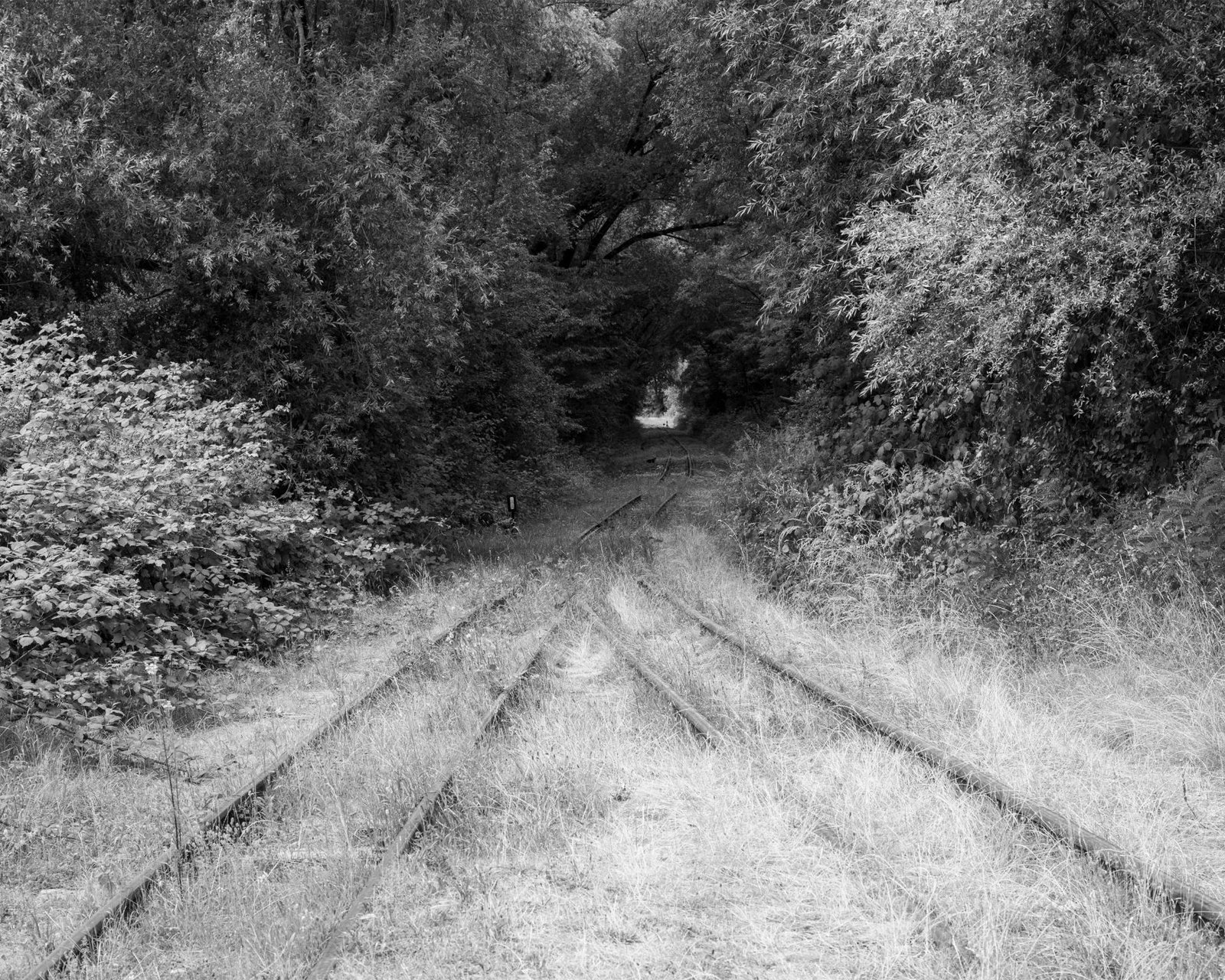 European Photography Awards Winner - Where the Land Waits