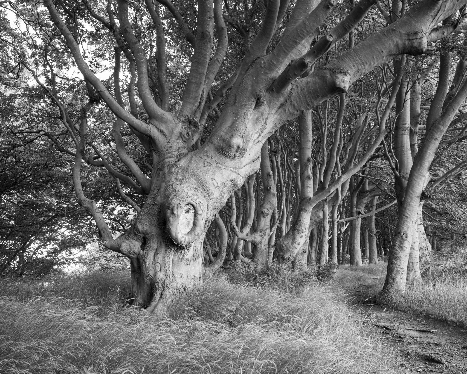 European Photography Awards Winner - Where the Land Waits