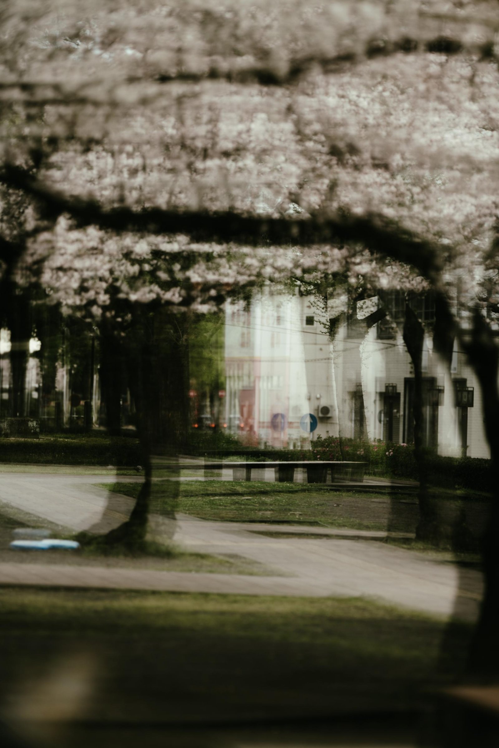 European Photography Awards Winner - Just my phantasy